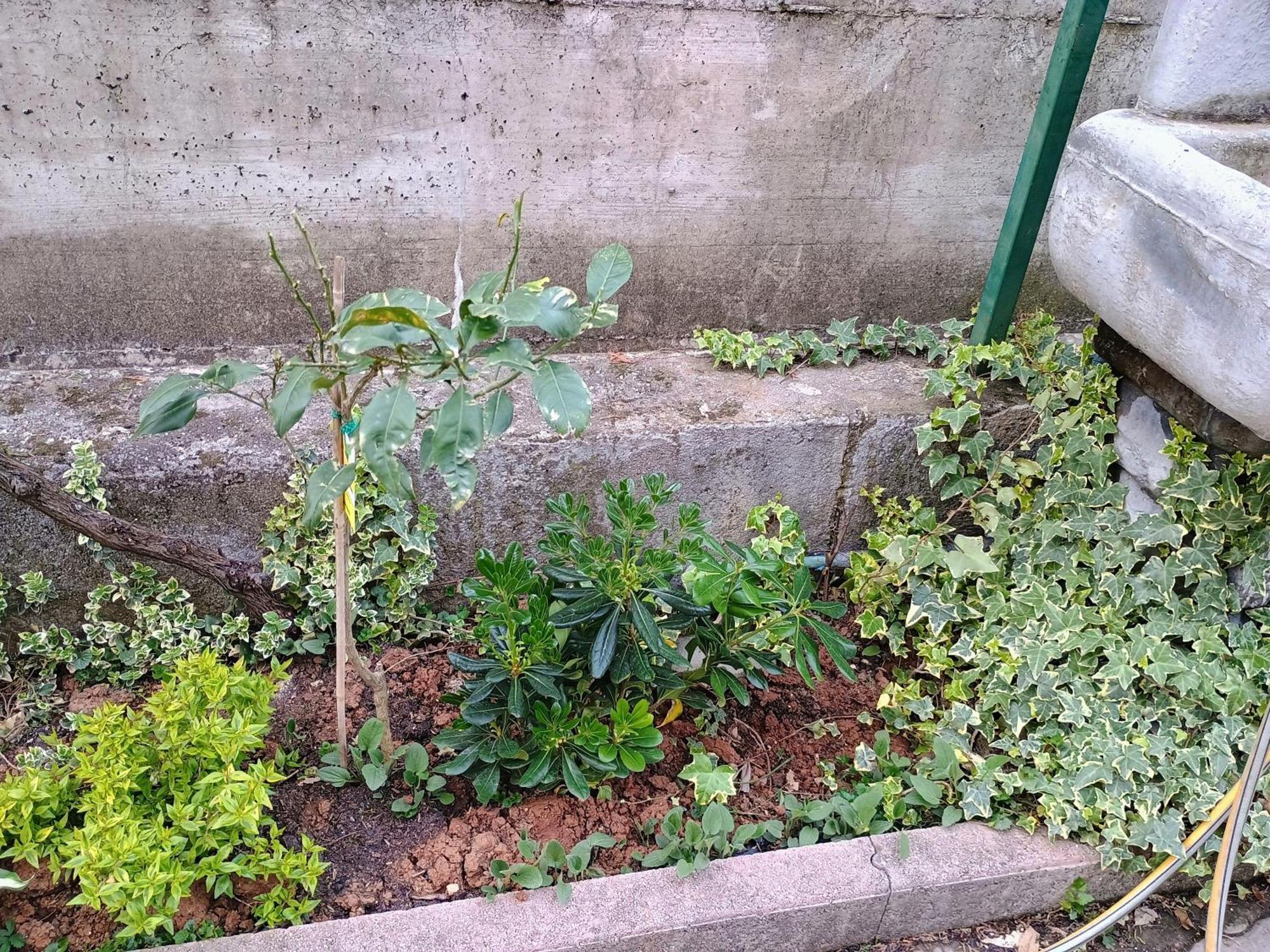 Apartament Lucky Star - Free Parking Rijeka Zewnętrze zdjęcie