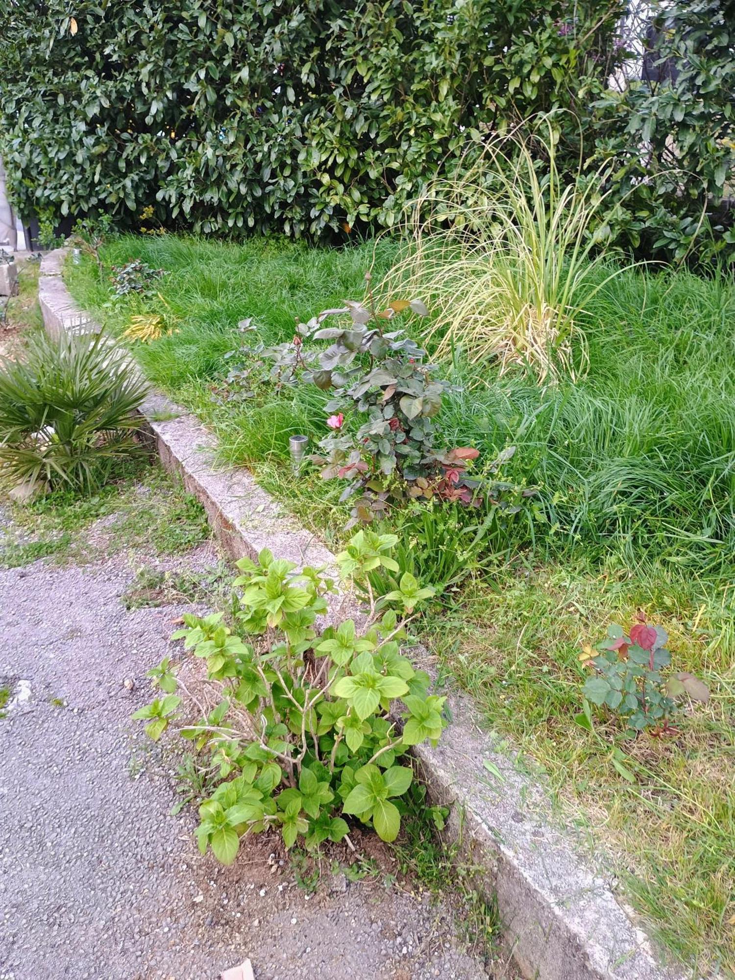 Apartament Lucky Star - Free Parking Rijeka Zewnętrze zdjęcie